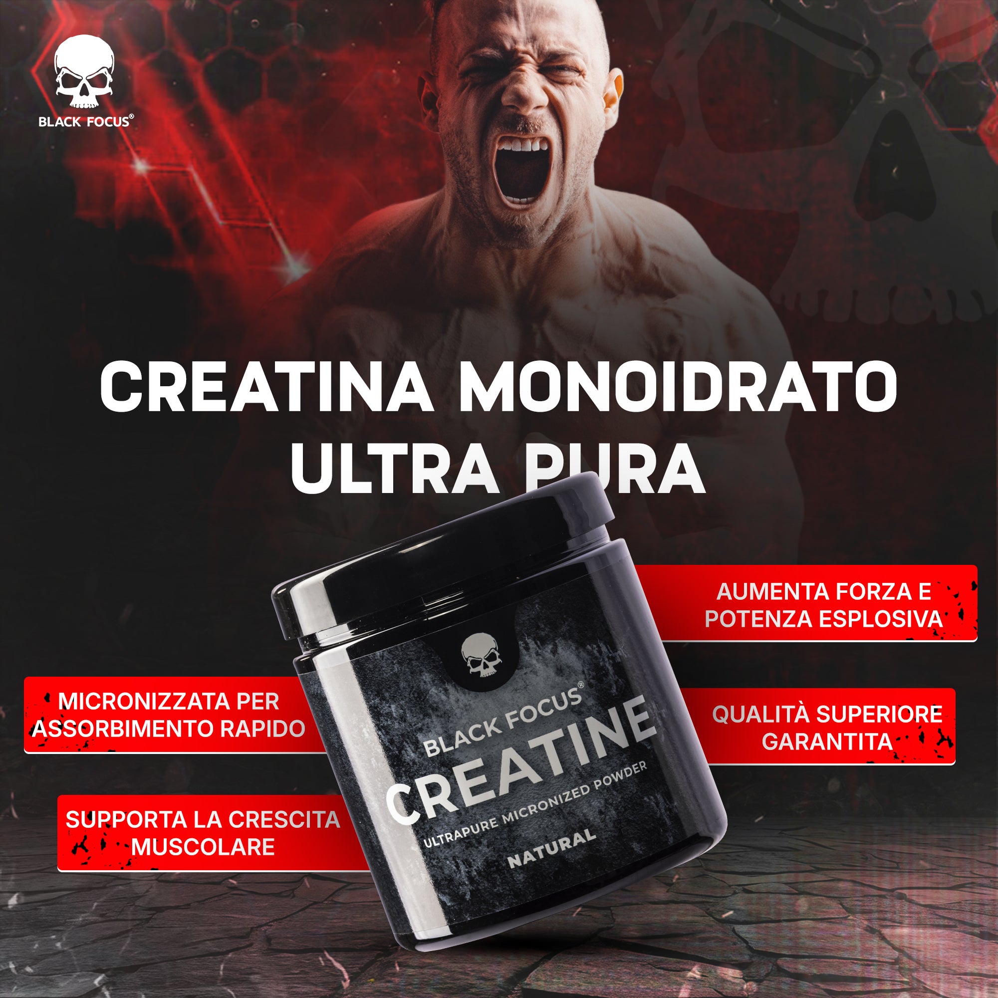 Ultrapure Micronized German Creatine 250g